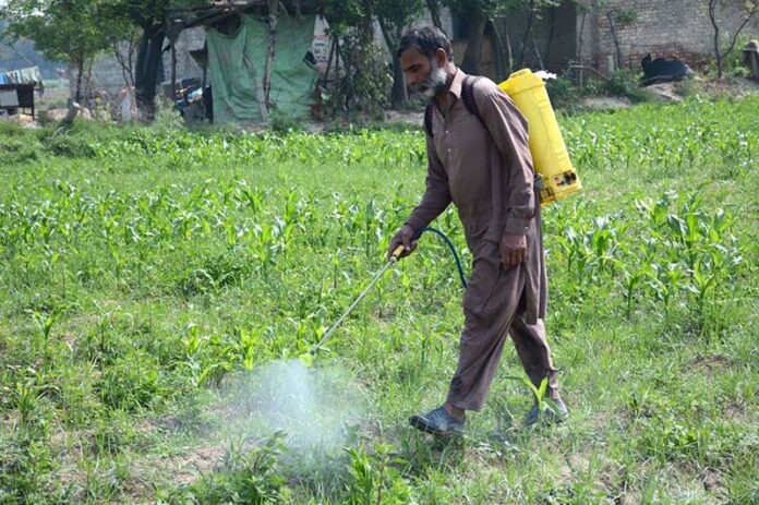 Farmer spraying pesticide in his field