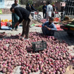 Laborer busy sorting good quality onions at vegetable market in the Federal Capital
