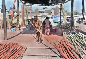 Workers are busy straightening the bamboos at their workplace