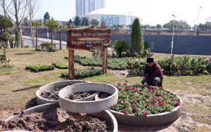 CDA worker busy in sapling plants at serena chowk roadside greenbelt in the Federal Capital