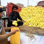 A vendor selling melon on his pickup van at Fruit Market in the City