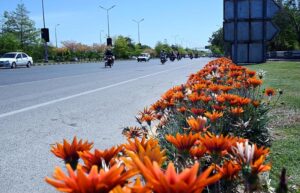 CDA worker busy watering plants on green belt at G-7 Area in the Federal Capital