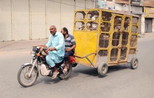 A motorcyclist rides along the road with a huge birdcage attached to his motorcycle, heading towards his destination.