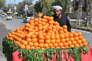 A vender displaying oranges on his push cart setup at Sachal Colony Road.