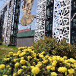 An attractive view of seasonal flowers flouring and blooming at roadside greenbelt to mark the Spring Season in the Federal Capital