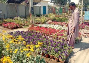 Gardener waters blooming plants on the side of the road