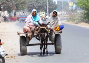 A person holding a huge mirror while sitting on the rear seat of motorcycle