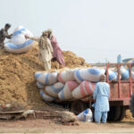 Labourers are unloading husks from the tractor trolly