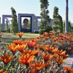 An attractive view of flowers flourishing and blooming at greenbelt along Expressway in Federal Capital
