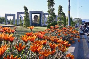 An attractive view of flowers flourishing and blooming at greenbelt along Expressway in Federal Capital
