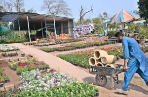 Labourer busy routine work at the local nursery near Rawal dam chowk in the Federal Capital.