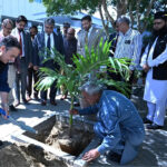 Federal Minister for Maritime Affairs, Junaid Anwar Chaudhry is planting a tree at the premises of Pakistan National Shipping Corporation head Office