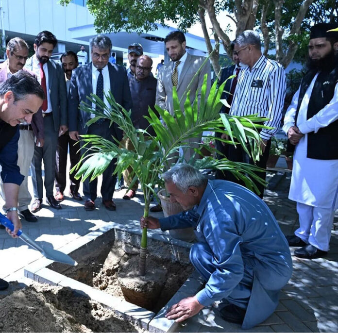 Federal Minister for Maritime Affairs, Junaid Anwar Chaudhry is planting a tree at the premises of Pakistan National Shipping Corporation head Office