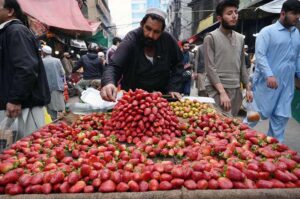 Vendor displaying strawberries to attract the customers during Iftar in the Holy Fasting month of Ramzan ul Mubarak