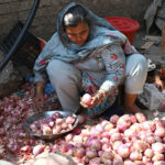 A woman sorting out onions to sell at her roadside setup