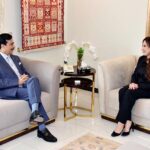 Chairman Senate, Syed Yousuf Raza Gillani in a meeting with Chargé D'affaires, Embassy of United State of America, MS. Natalie A. Baker