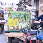 A man is selling chickens at low price on motorcycle at Chowk Noorian