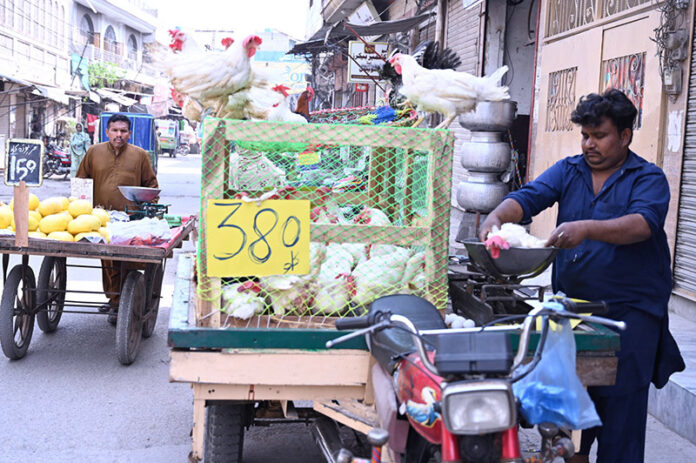 A man is selling chickens at low price on motorcycle at Chowk Noorian A man is selling chickens at low price on motorcycle at Chowk Noorian