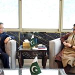 Ambassador of China to Pakistan, H.E. Jiang Zaidong, met with Federal Minister for Information Technology & Telecommunication, Shaza Fatima Khawaja