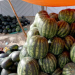 Vendor arranging and displaying Watermelons to attract the customer at his setup during the Islamic fasting month of Ramadan ul-Mubarak in the City