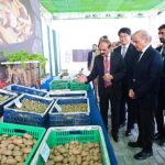 Prime Minister Muhammad Shehbaz Sharif receives briefing regarding the Aeroponics Technology Complex for Potato Seed Production at National Agricultural Research Center