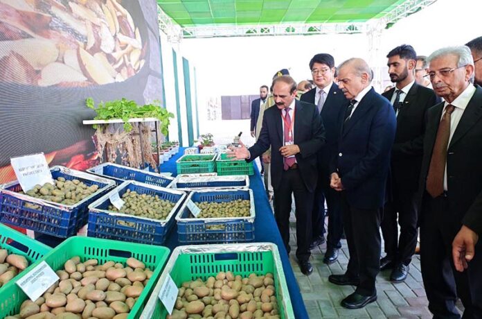 Prime Minister Muhammad Shehbaz Sharif receives briefing regarding the Aeroponics Technology Complex for Potato Seed Production at National Agricultural Research Center