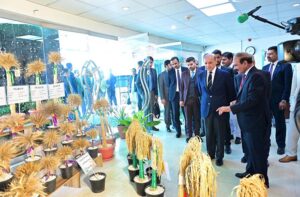 Prime Minister Muhammad Shehbaz Sharif receives briefing regarding the Aeroponics Technology Complex for Potato Seed Production at National Agricultural Research Center