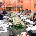 Chairperson Senate Standing Committee on Commerce Senator Anusha Rahman along with Senator Sarmad Ali, Senator Hamid Khan, Senator Amir Waliuddin Chishti and others members chairing a meeting at the Trade Development Authority of Pakistan (TDAP) head office
