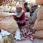 Women workers sorting onions at vegetable market as world celebrate the International Women's Day. International Women's Day is celebrated in many countries around the world. It is a day when women are recognized for their achievements without regard to divisions, whether national, ethnic, linguistic, cultural, economic or political