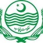 Punjab cracks down on illegal arms dealers using fake documents