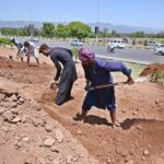 Laborers are busy spreading soil on the greenbelt along the Expressway in the Federal Capital
