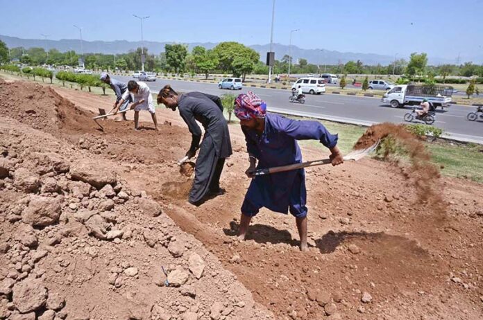 Laborers are busy spreading soil on the greenbelt along the Expressway in the Federal Capital