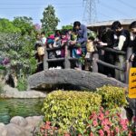 People throwing food for fish while visiting Multi Garden Zoo