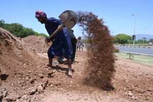 Laborers are busy spreading soil on the greenbelt along the Expressway in the Federal Capital