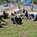 CDA-hired local gardeners lay fresh grass on a greenbelt to enhance the beauty of the federal capital