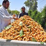 A person purchasing loquat from roadside vendor along Lehtrar Road