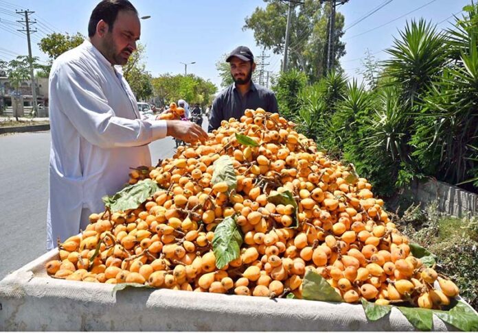 A person purchasing loquat from roadside vendor along Lehtrar Road