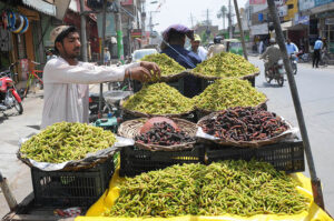 A vendor is busy arranging and displaying seasonal fruit Mulberry to attract customers at his roadside setup.