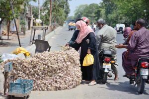 People busy purchasing garlic from roadside vendor.