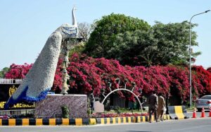 A beautiful view of colorful flowers in full bloom, welcoming spring in front of Parliament House in the Federal Capital