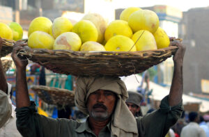 A laborer carrying a basket of melons on his head at the Vegetable Market.