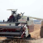 Farmer busy harvesting wheat crop with modern machinery at his farm field