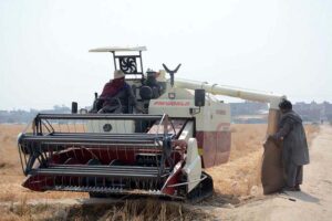 Farmer busy harvesting wheat crop with modern machinery at his farm field