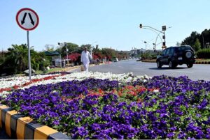 A beautiful view of colorful flowers in full bloom, welcoming spring in front of Parliament House in the Federal Capital
