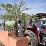 PHA workers watering plants at center path of Excise Office Road