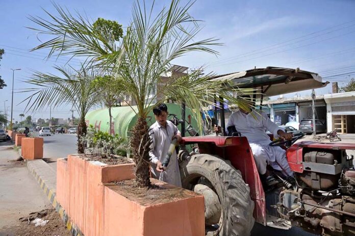 PHA workers watering plants at center path of Excise Office Road