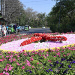 A beautiful floral clock created by PHA using fresh, vibrant flowers at Upper Mall adds a stunning splash of color and charm