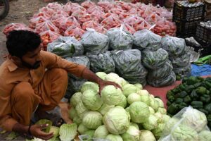 A vendor displaying fresh vegetables to attract the customers at Vegetable Market