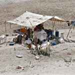 A view of makeshift huts set up by gypsy families in the Kacha area near the Larkana-Khairpur Bridge