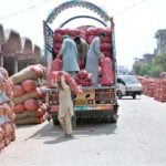 Daily wage labourers unload fresh onions from delivery truck at the Sabzi Mandi in the city